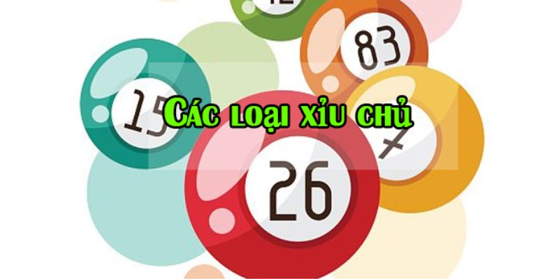 Các loại hình cá cược xỉu chủ là gì?