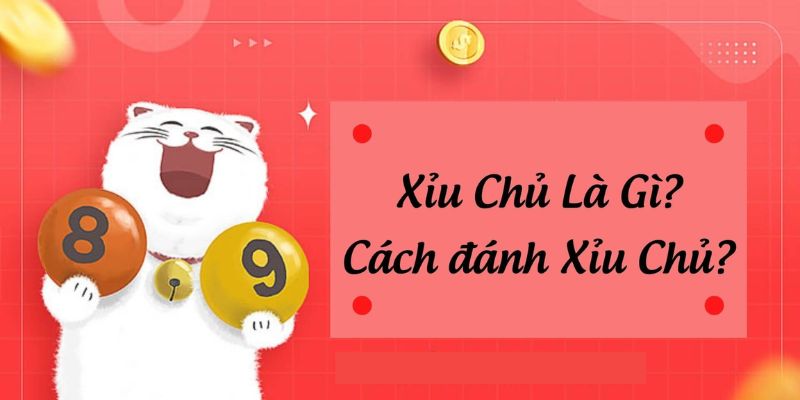 Xỉu Chủ Là Gì? Thông Tin Thú Vị Về Cách Đánh Xỉu Chủ